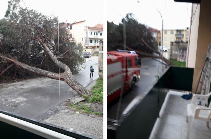 albero crolla palazzine giugliano