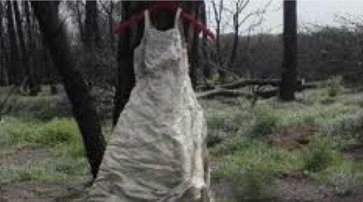 abito da sposa abbandonato sul vesuvio mistero