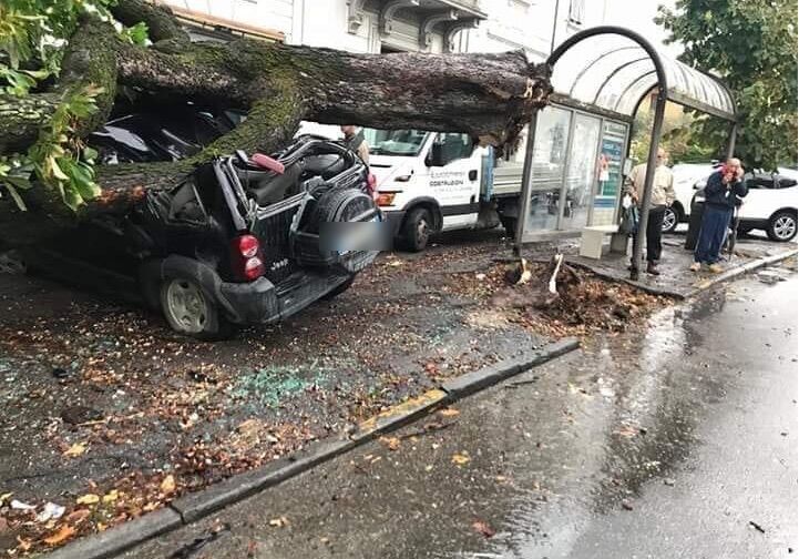 massa viale xx settembre albero crollato