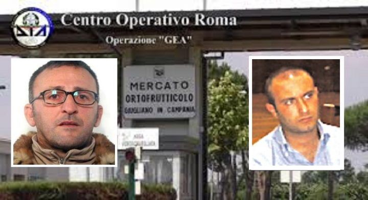 mog processo giugliano clan mallardo requisitoria