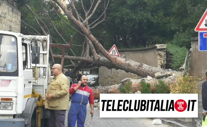 sant'eframo napoli caduto albero