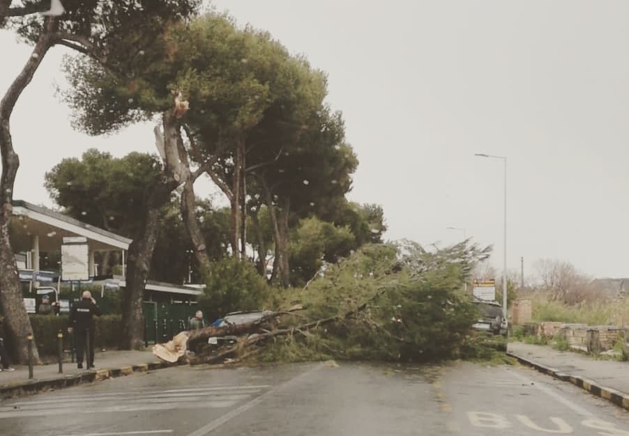 allerta meteo vento napoli 12 febbraio