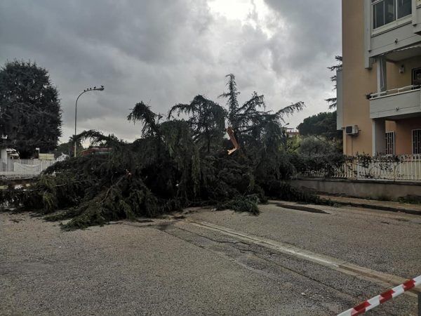 maltempo napoli