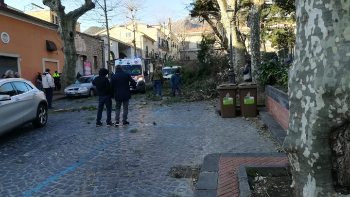 cava de tirreni morto gioacchino mollo albero caduto vento