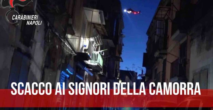 camorra napoli arresti