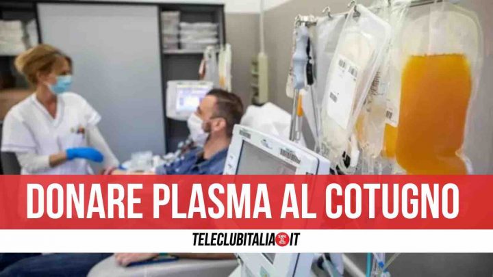 plasma cotugno