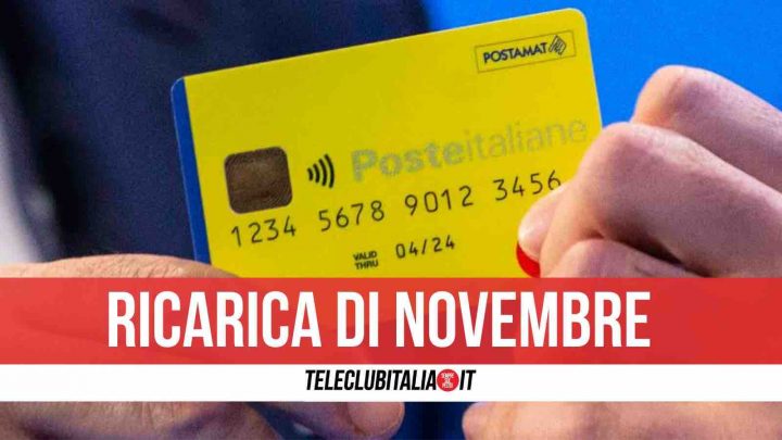 reddito di cittadinanza novembre