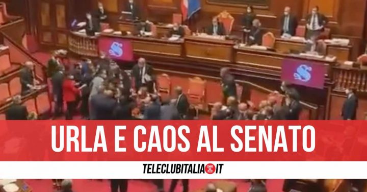 video senato caso lega