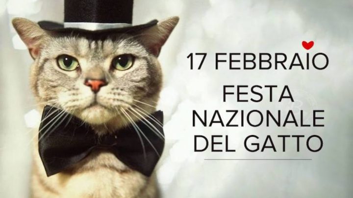 Festa del gatto