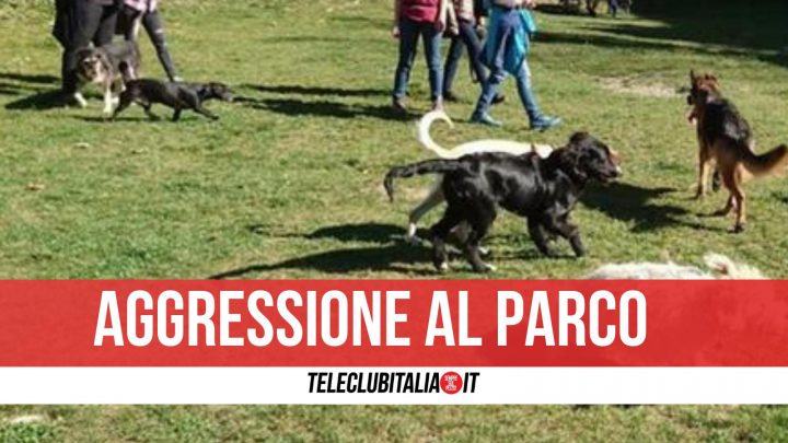 aversa parco pozzi arrestato aggressione