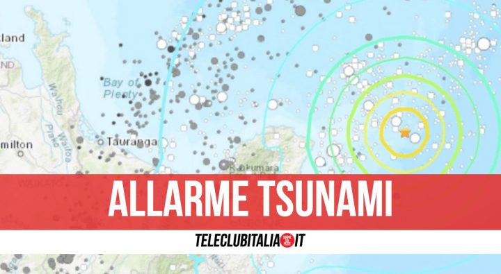 terremoto nuova zelanda