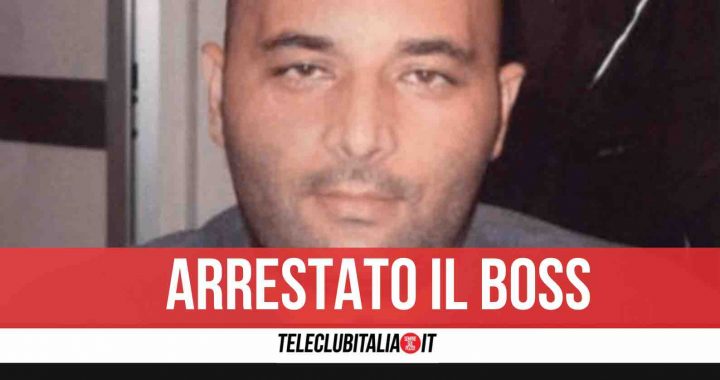 francesco pelle arresto ndrangheta