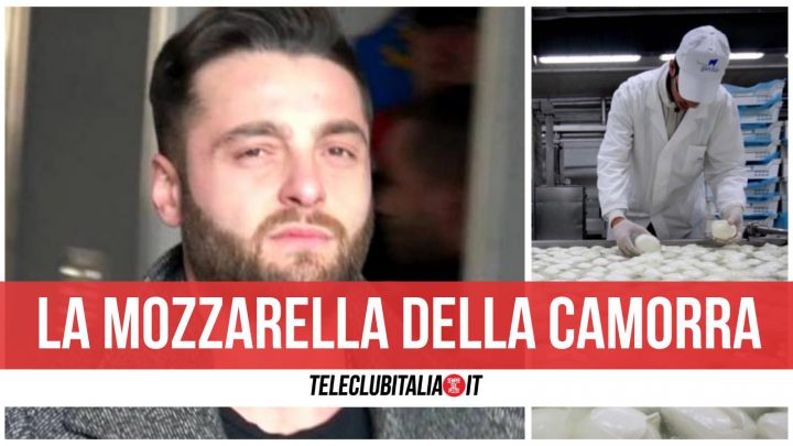 walter schiavone arrestato mozzarella camorra