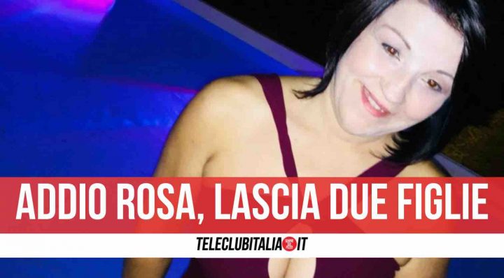 rosa rovescio morta puntura insetto