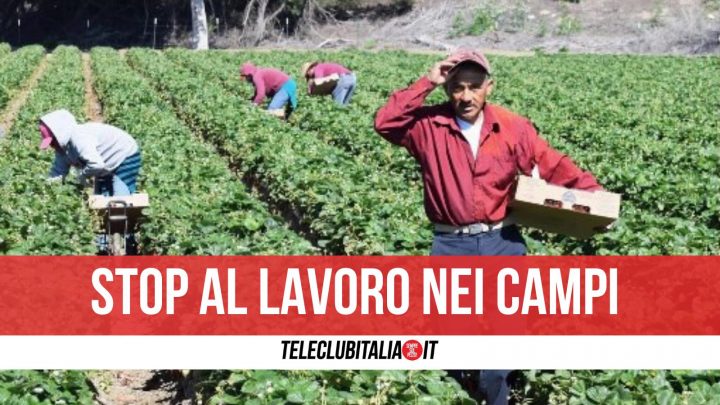 afragola lavoro campi stop