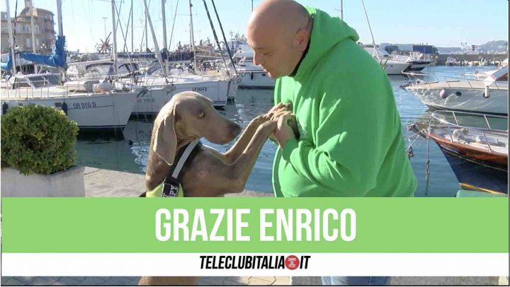 enrico maisto morto animal food giugliano mpaa volontariato amici a quattro zampe