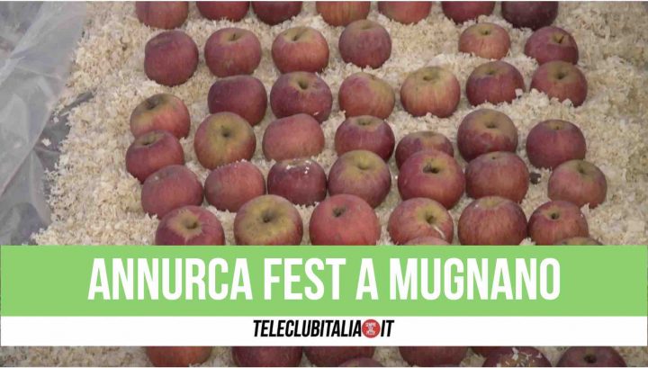 mela annurca mugnano