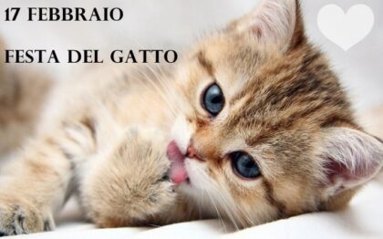 giornata mondiale del gatto,17 febbraio,cuscino a forma di gatto Stock  Photo