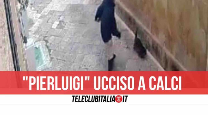 lecce ucciso gatto pierluigi