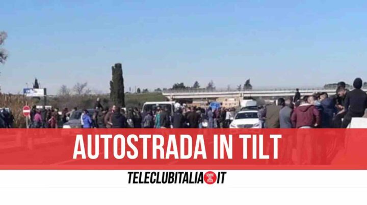 allevatori protesta autostrada a1