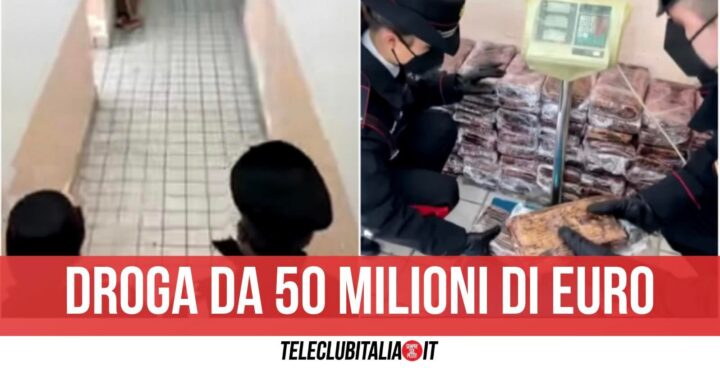 droga 50 milioni di euro frattamaggiore cocaina