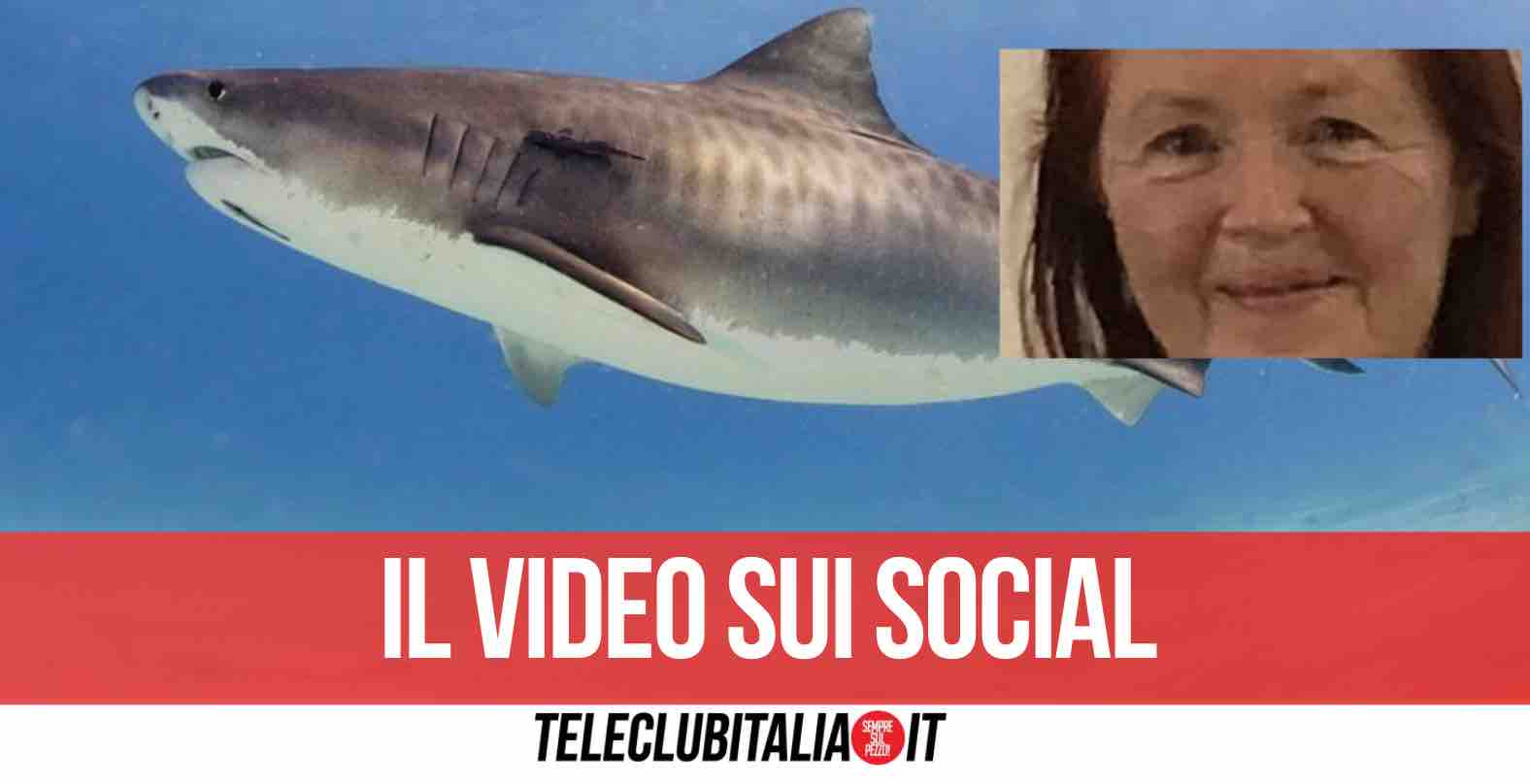 mar rosso turiste uccise squalo