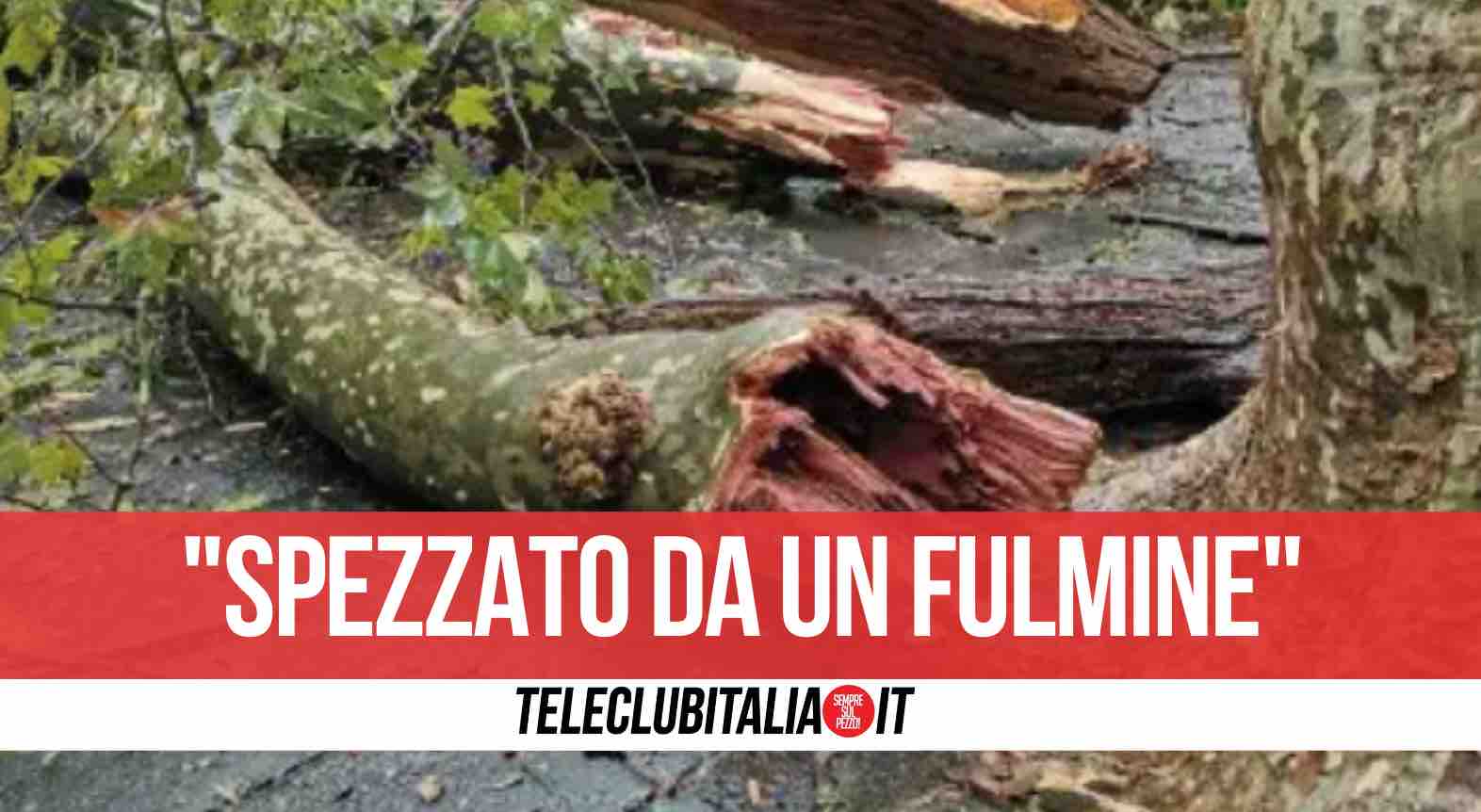 maltempo napoli albero spezzato fulmine