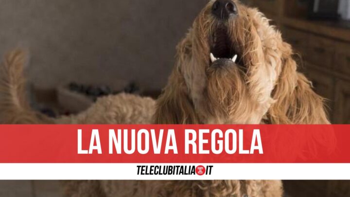 cane abbaia di notte risarcimento vicini