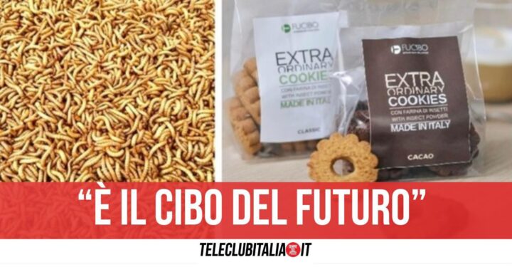 fucibo insetti patatine biscotti