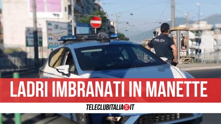 colli aminei ladri imbranati arrestati