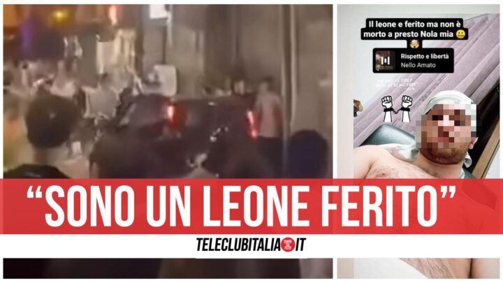 leone ferito nola auto ugo pazzo