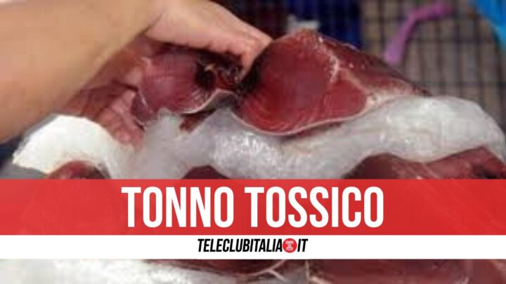 18 arresti tonno tossico