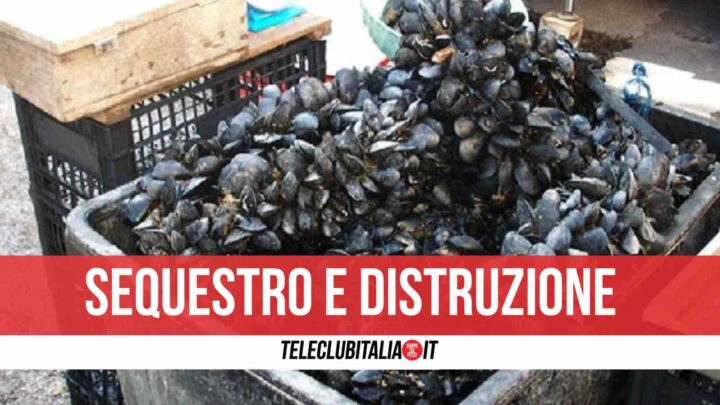 sequestro cozze torre del greco