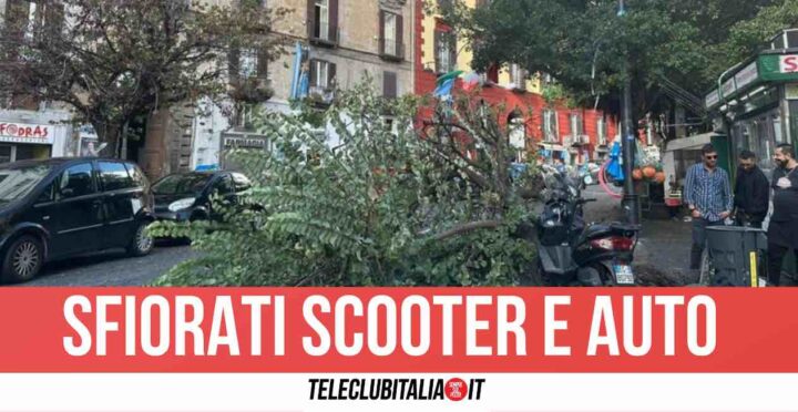 Crolla albero a Santa Lucia: tragedia sfiorata a Napoli