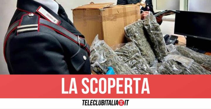 Caserta, fa un acquisto online ma il corriere le consegna 10 chili di droga