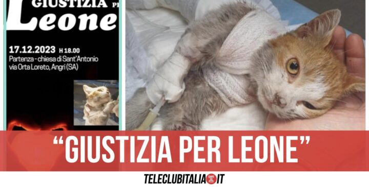 fiaccolata per leone gattino angri