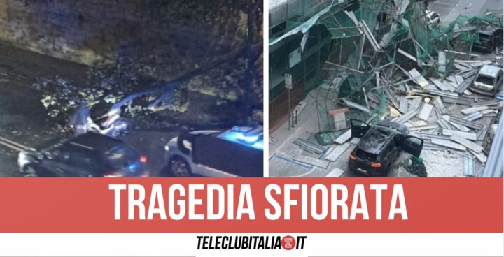 Capodimonte Albero Giù E Ad Aversa Crollo Impalcatura