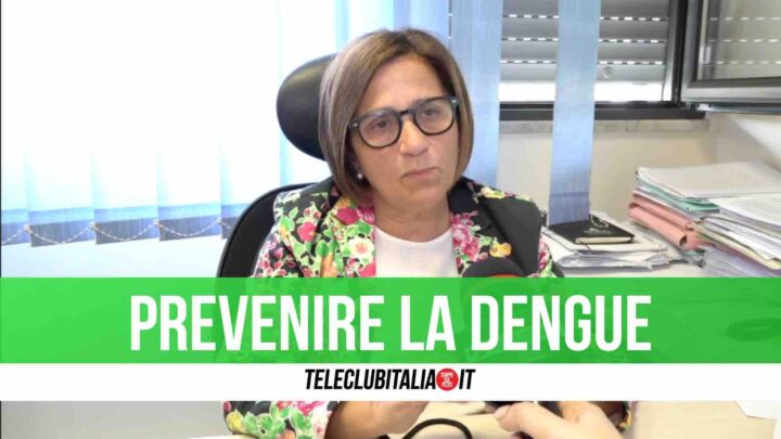 Prevenzione della dengue