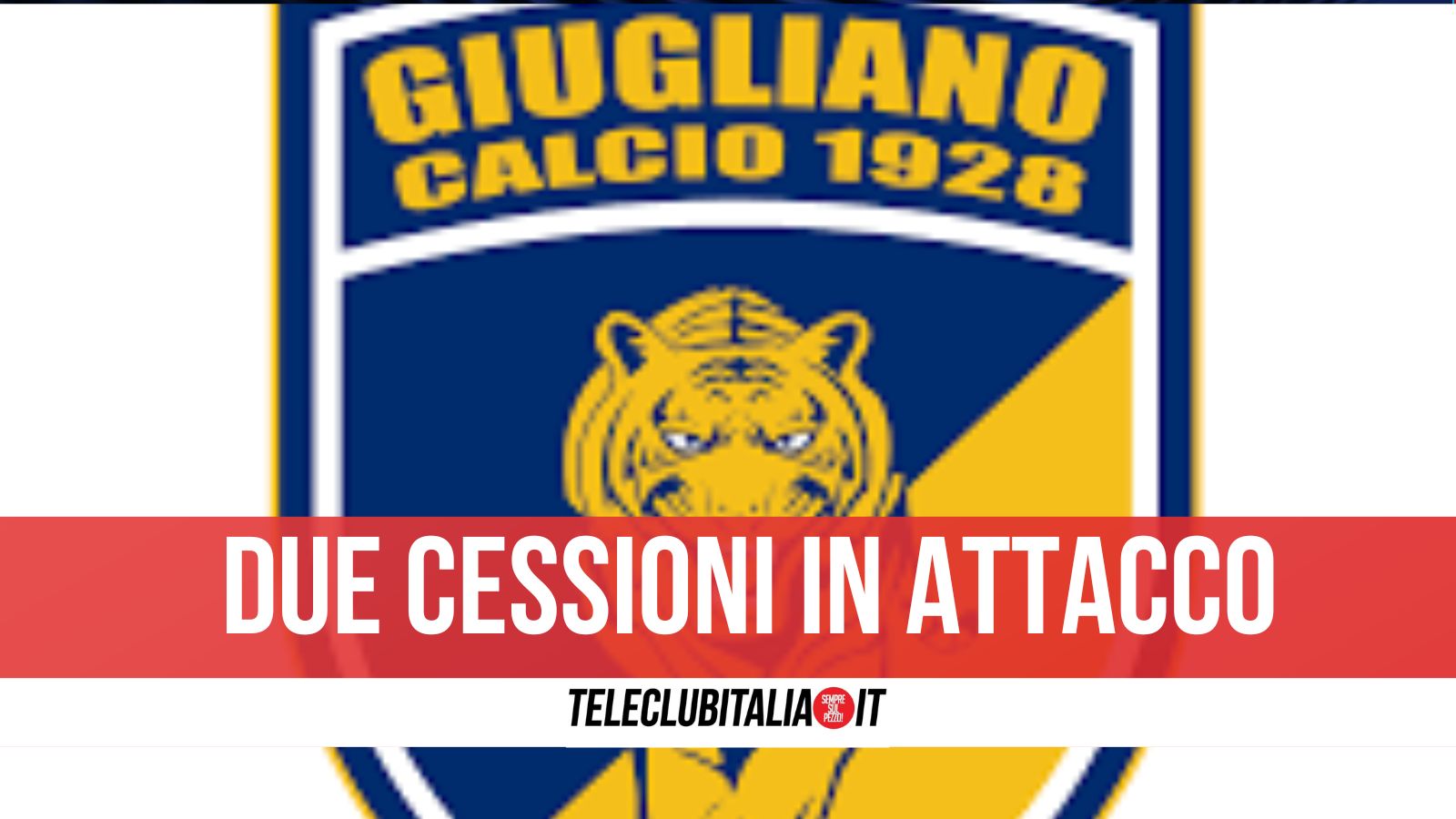 Cessioni Giugliano