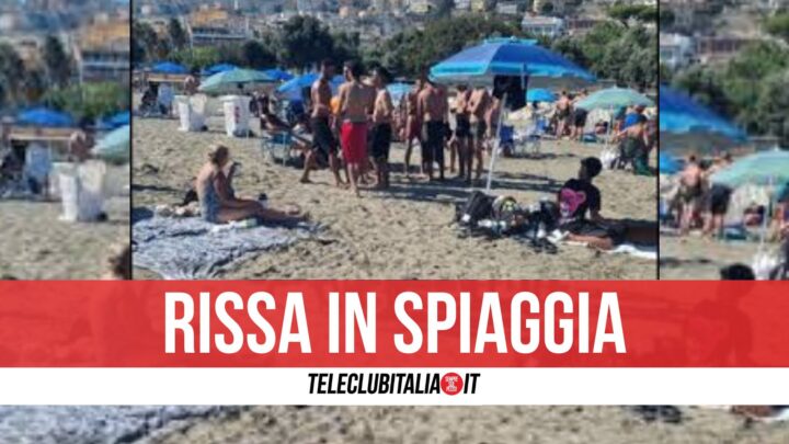 Rissa In Spiaggia