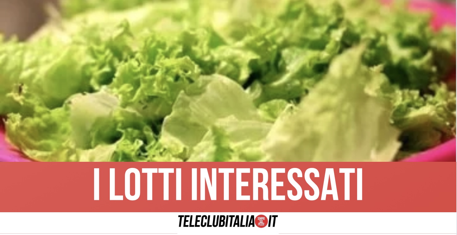 Insalata in busta a rischio listeria: ritirati 19 marchi dal supermercato