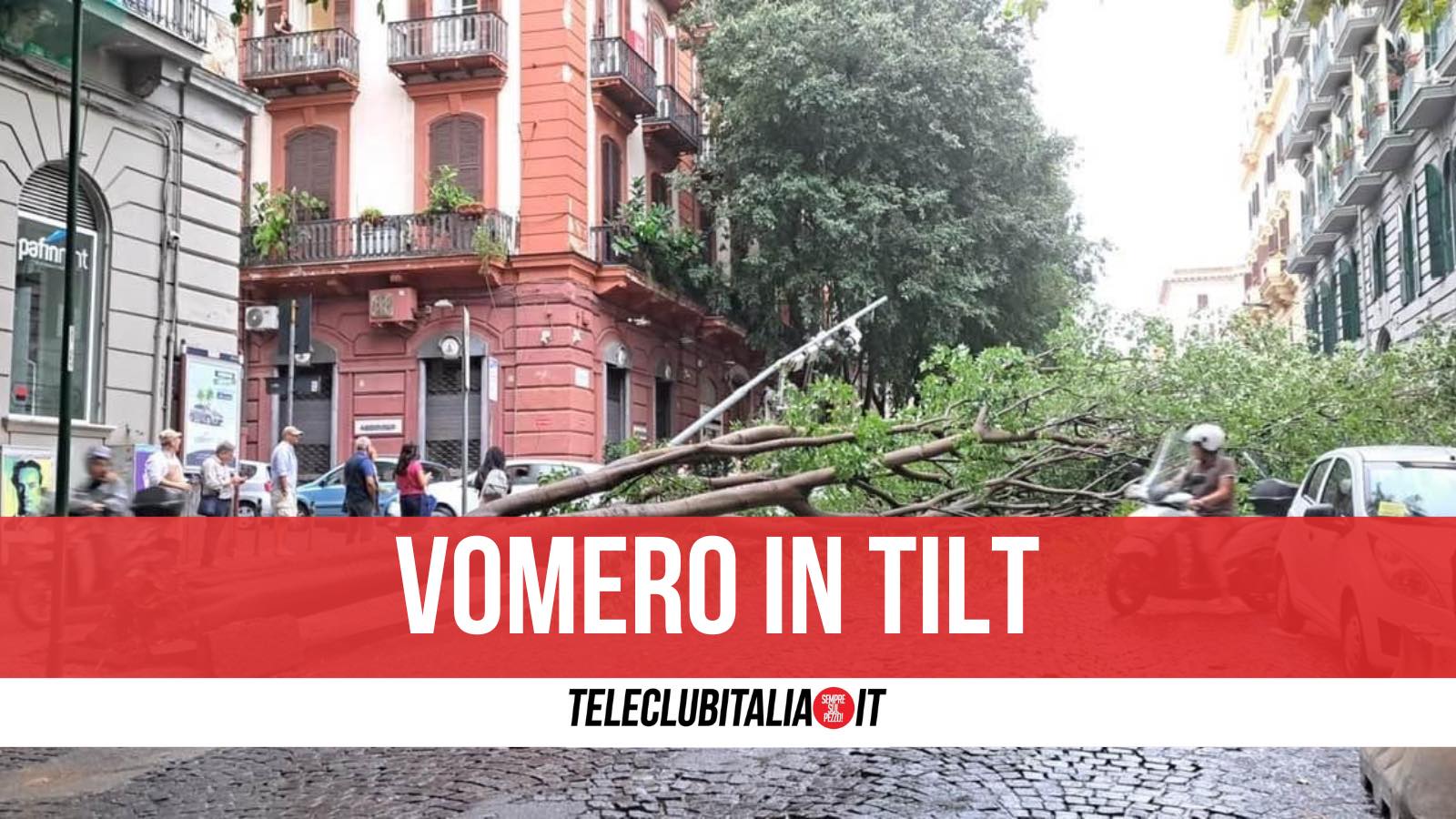 Vomero, crolla albero dopo impatto con un Suv: traffico in tilt in tutto il quartiere