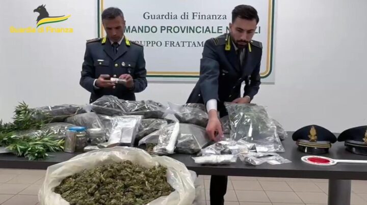 Sequestrata Una Piantagione Di Canapa Indiana E Oltre 50 Kg Di Marijuana Già Essiccata.