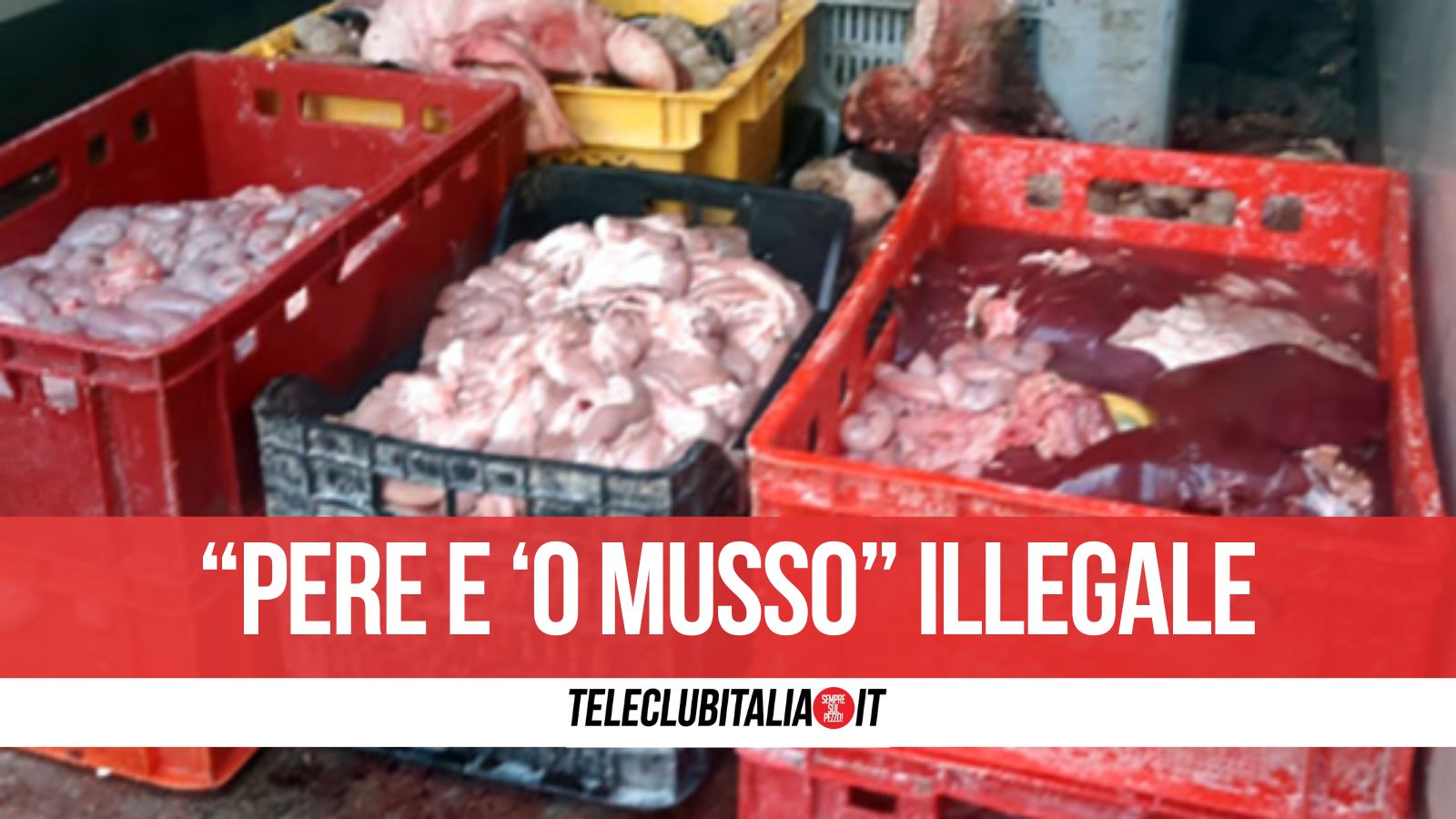 Nas in azione nel napoletano, sequestrate tre tonnellate di carne per lo “street food”