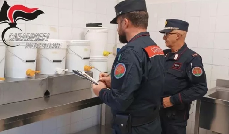 Giugliano, ingredienti di alta qualità mai acquistati: denunciato titolare di nota pizzeria