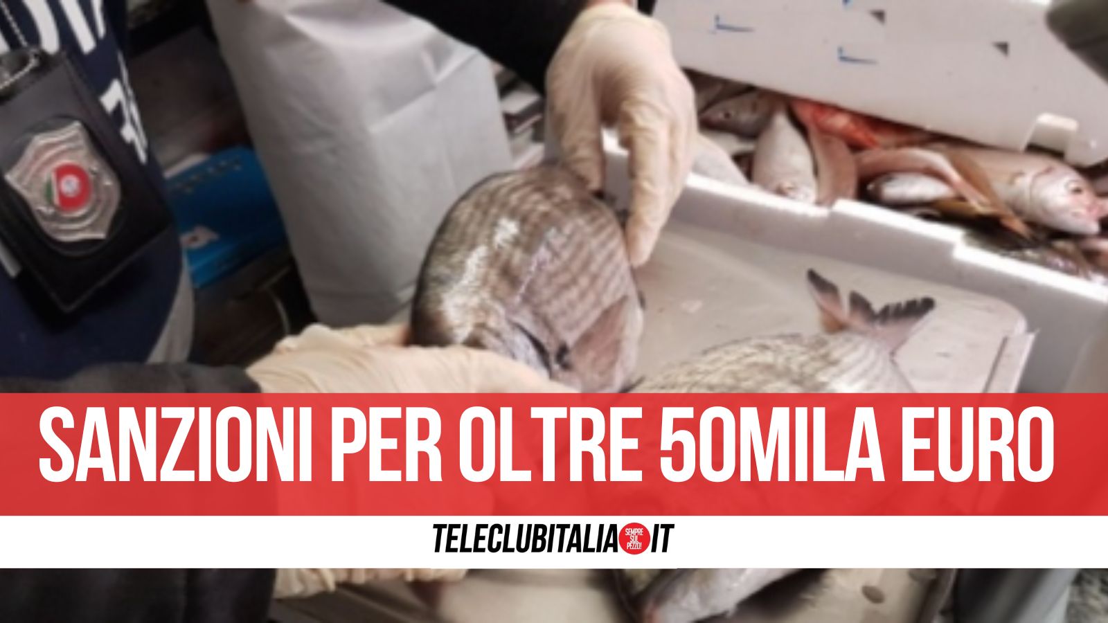 Blitz al mercato ittico di Volla: sequestrate 10 tonnellate di pesce irregolare