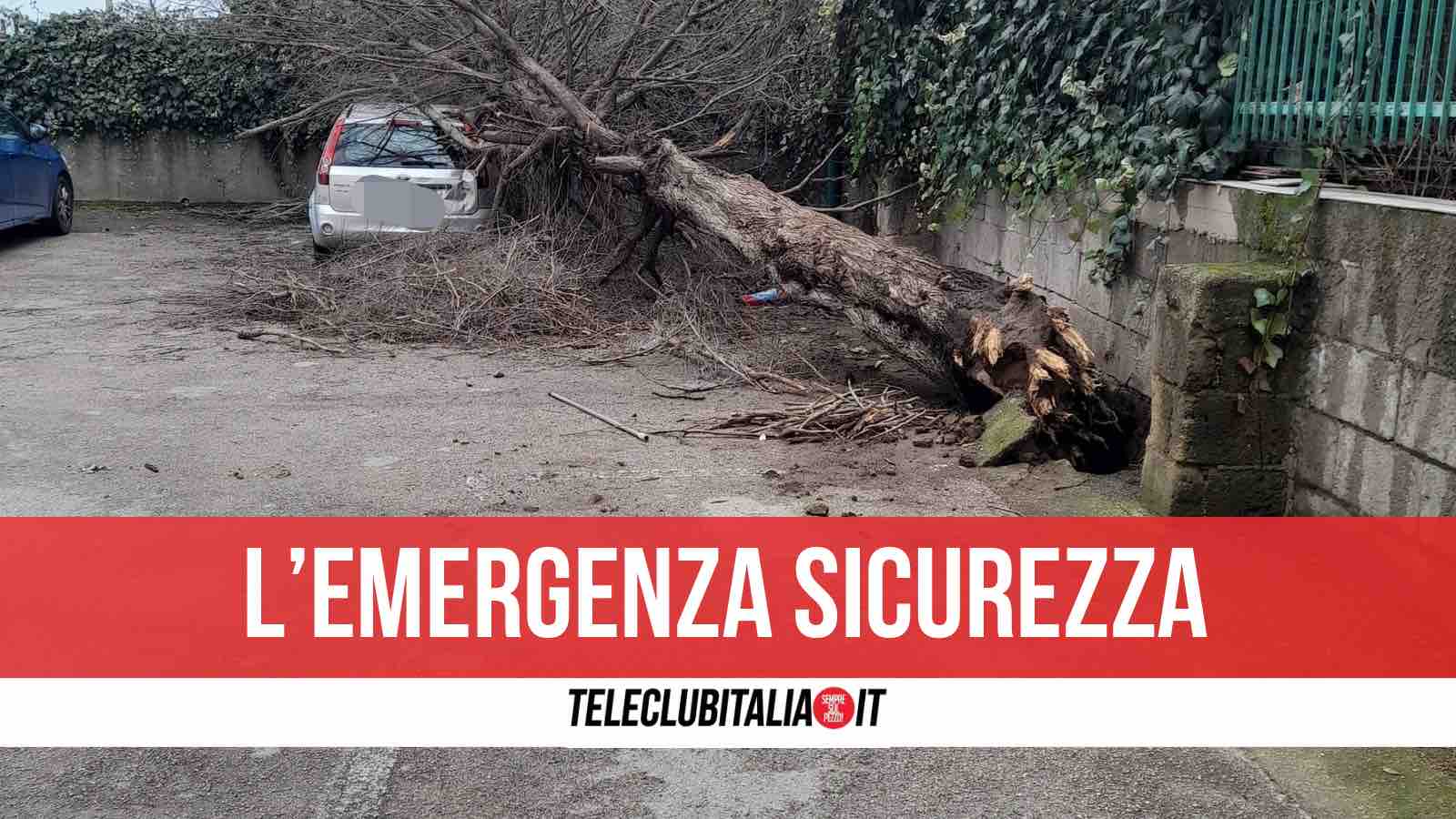 Giugliano, crollano un albero e un palo dell’illuminazione al Parco Nuovo Mondo