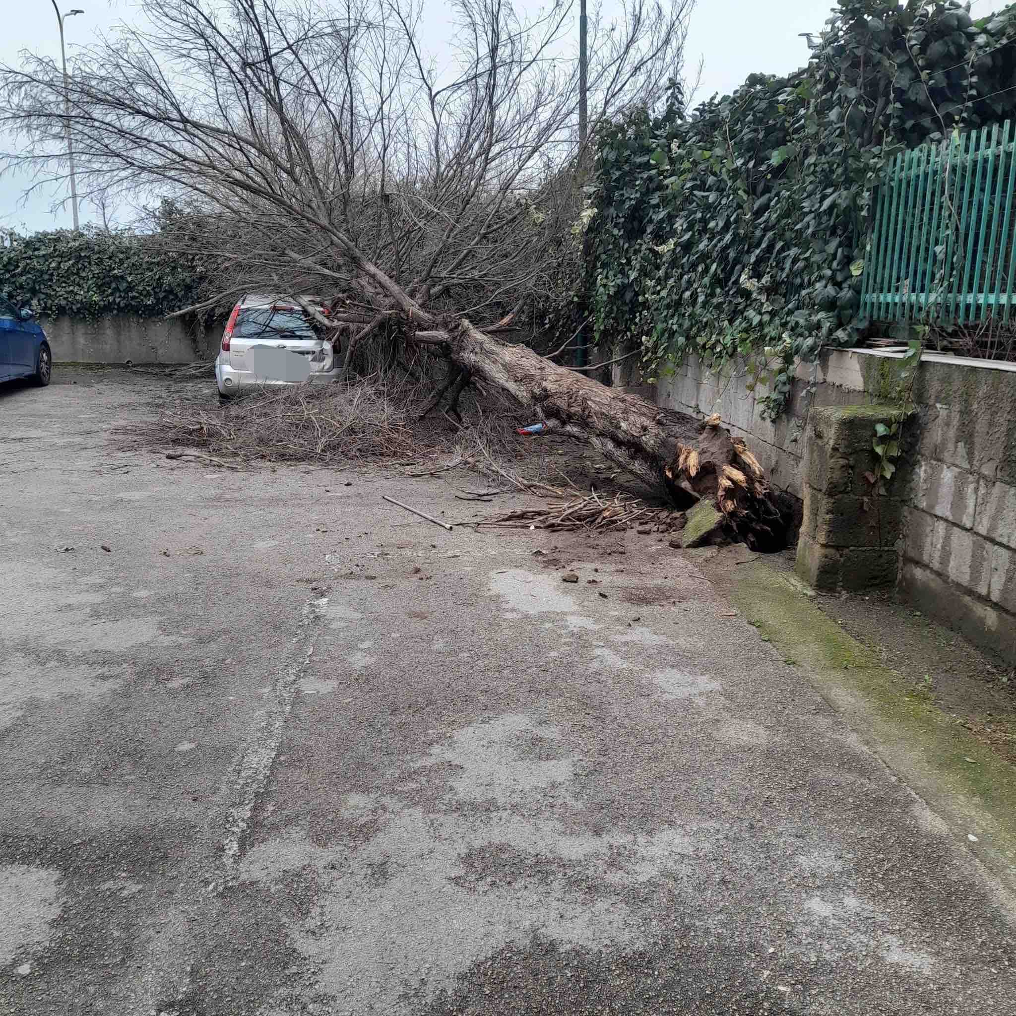 crollo parco nuovo mondo