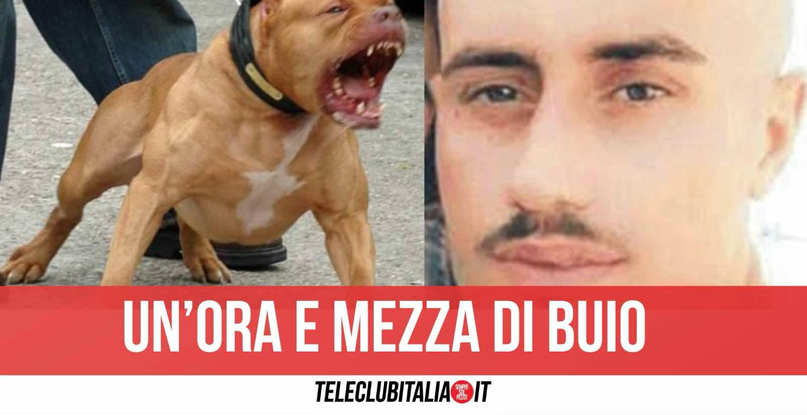 Acerra, bimba morta per rottura del collo: domani i funerali. Giallo su tracce dna su Tyson