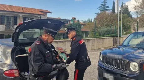 Carabinieri Jeep Inseguimento Cassino Arrestato